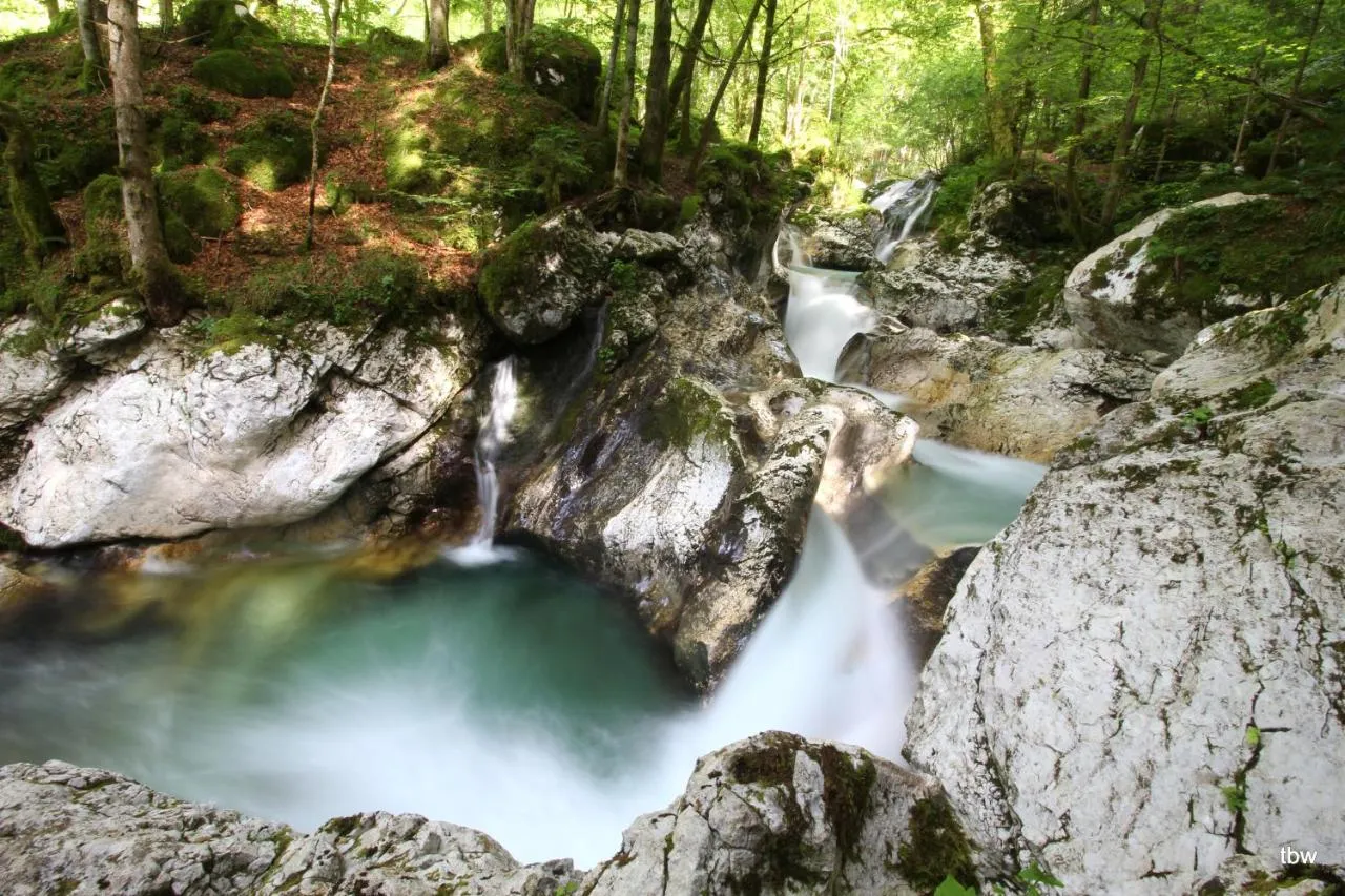Smaragdna Soča med belimi skalami